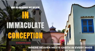 Orthodox Rejection of Immaculate Conception: Theological and Scriptural Perspectives