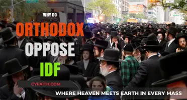 Orthodox Opposition to IDF: Religious, Cultural, and Ethical Perspectives Explained