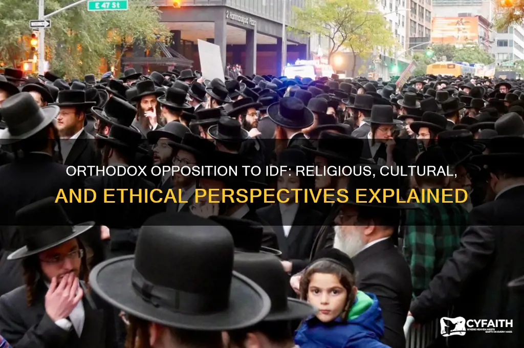 why do orthodox oppose idf