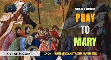 Why Orthodox Christians Venerate Mary: Exploring the Theotokos Tradition
