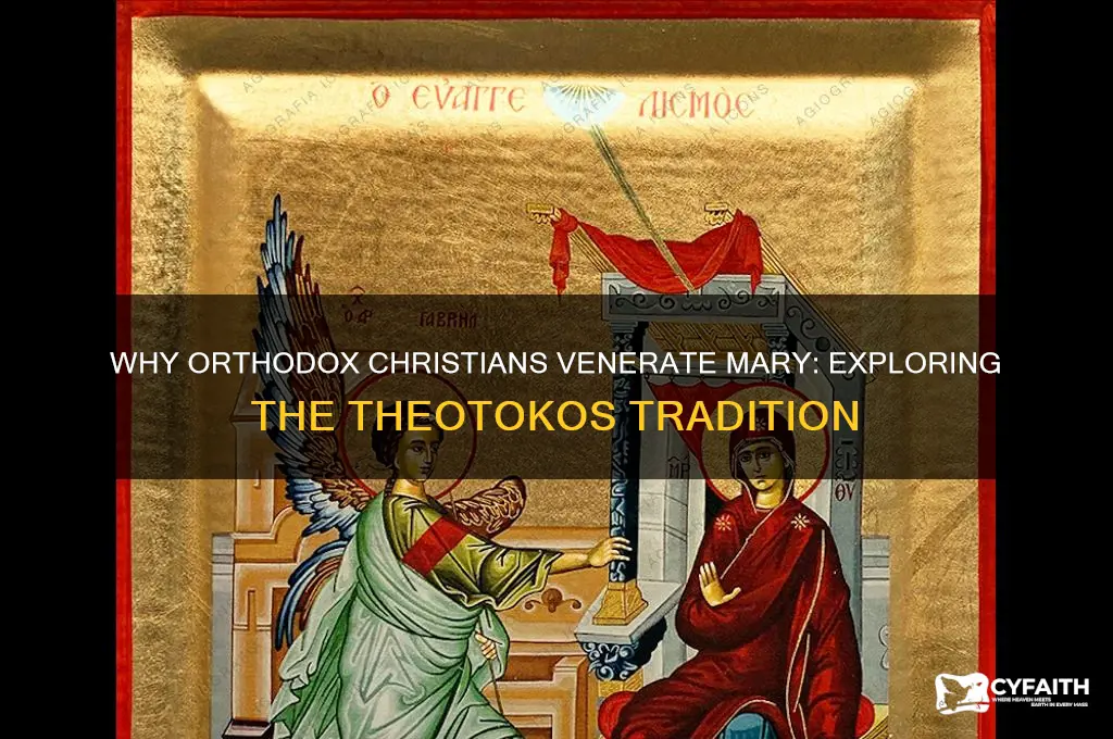 why do orthodox pray to mary