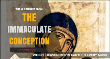 Orthodox Rejection of Immaculate Conception: Theological and Scriptural Perspectives