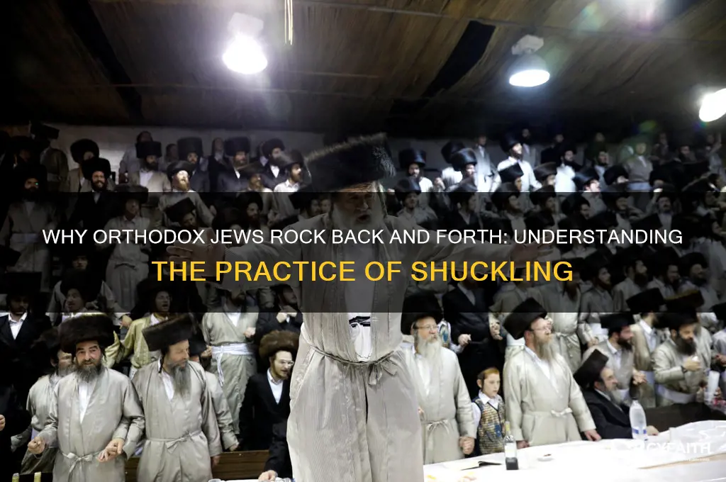 why do orthodox rock back and forth