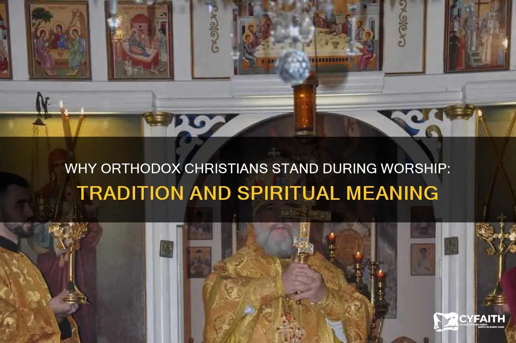 why do orthodox stand