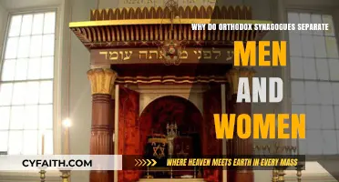 Understanding Orthodox Synagogue Gender Separation: Traditions, Reasons, and Practices