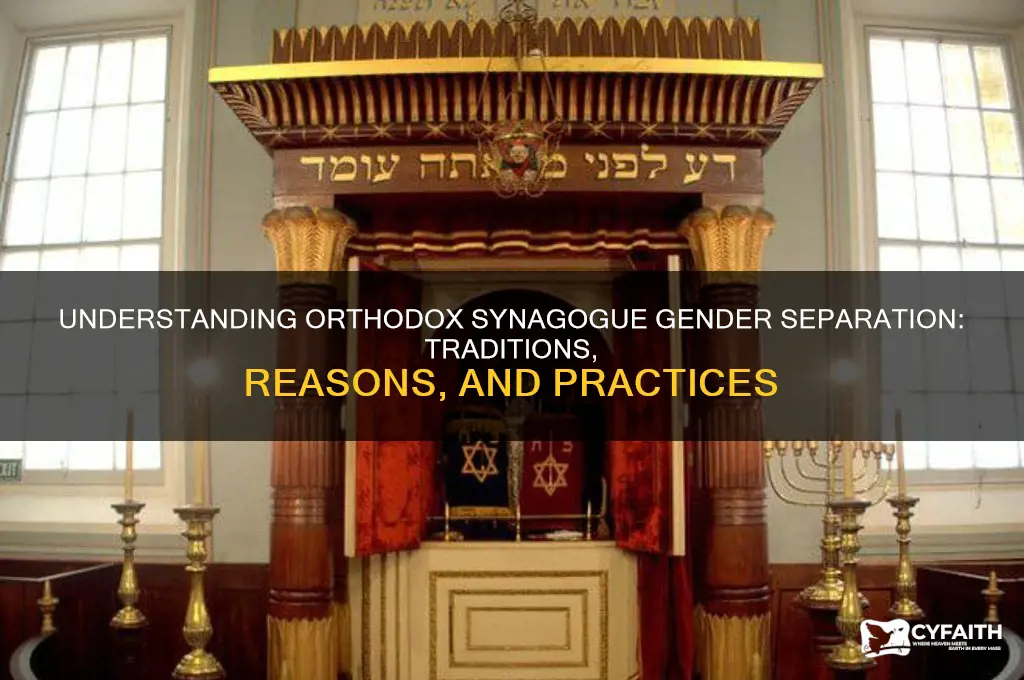 why do orthodox synagogues separate men and women