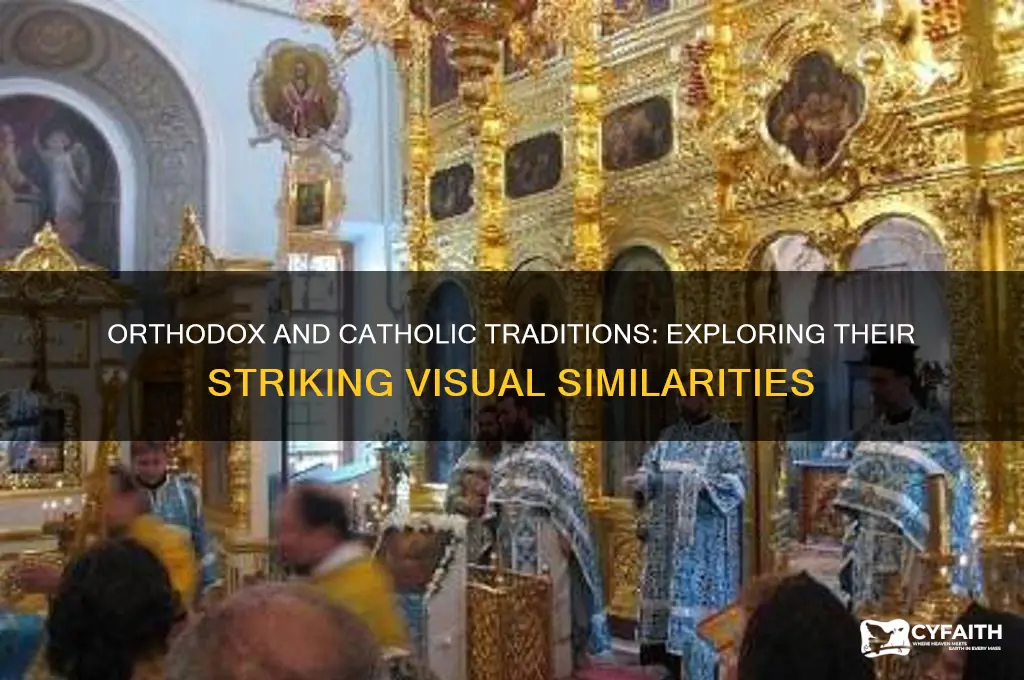 why do orthodox traditions look like catholic