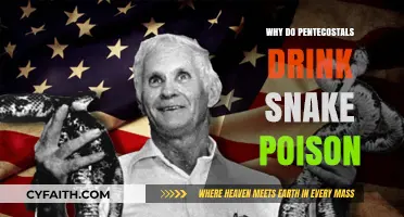 Exploring the Controversial Practice of Snake Handling in Pentecostalism