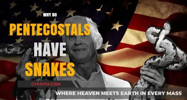 Understanding the Symbolism: Snakes in Pentecostal Worship