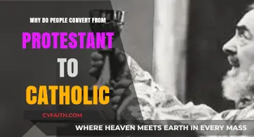 Exploring Faith: The Journey from Protestant to Catholic