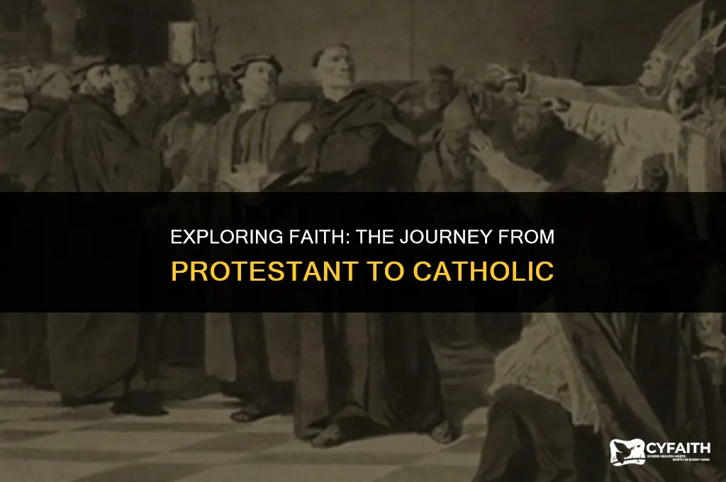 why do people convert from protestant to catholic