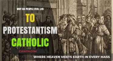 Why Do People Transition from Catholicism to Protestantism?