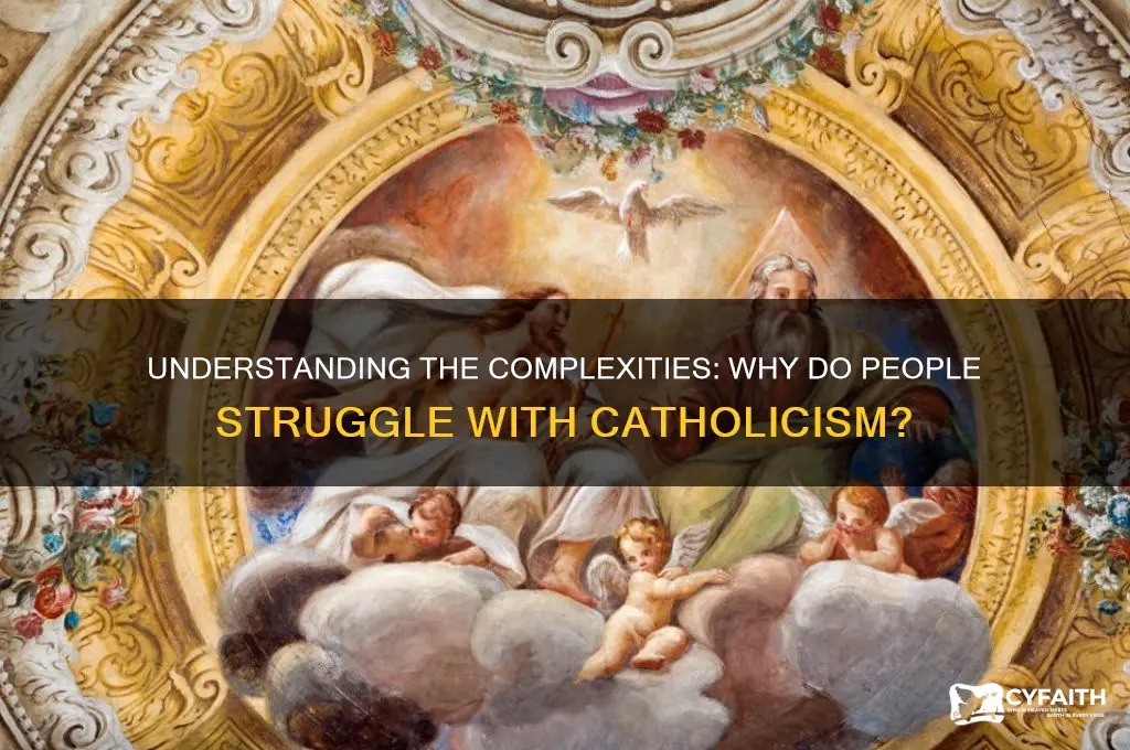 why do people have trouble with catholics