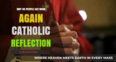 Born Again Catholic Reflection: Understanding the Spiritual Renewal Journey