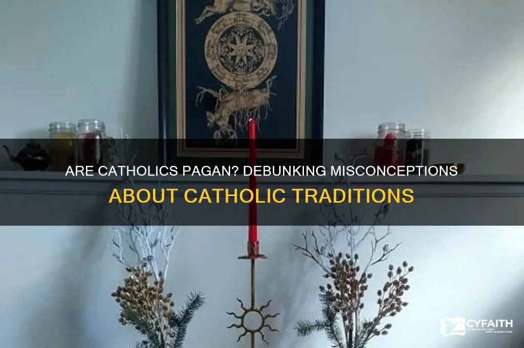 why do people say catholics are pagan