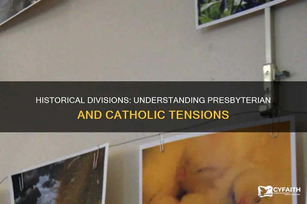 why do presbyterians dislike catholics