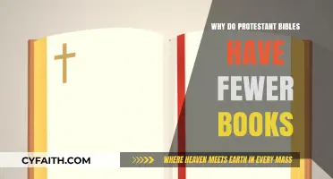 Exploring the Differences: Protestant Bibles and Their Book Count