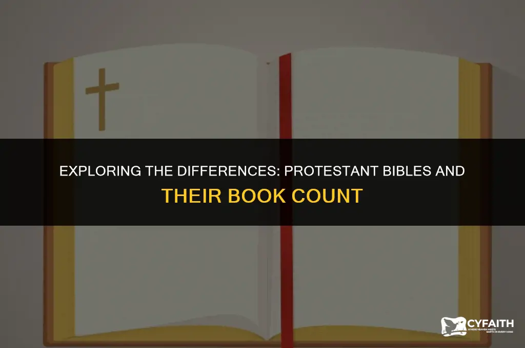 why do protestant bibles have fewer books