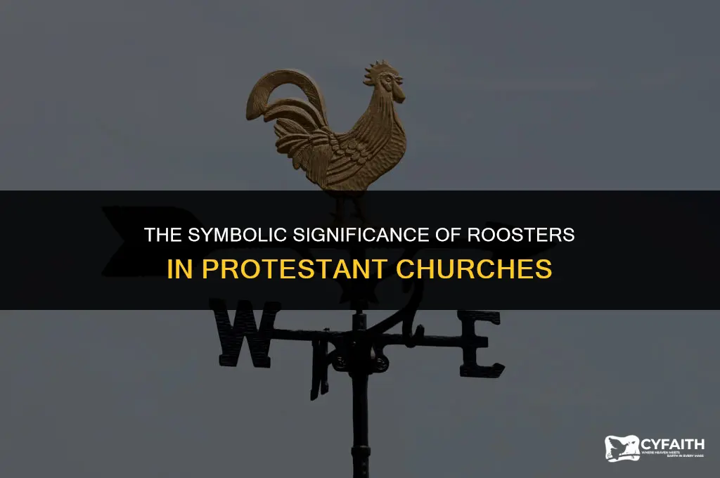 why do protestant churches have a rooster