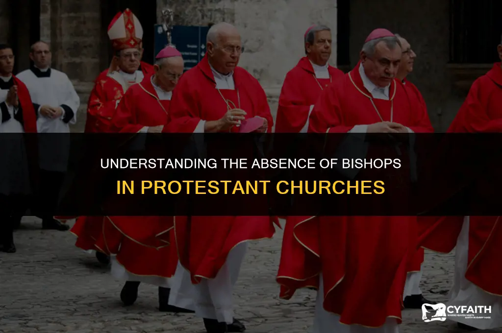 why do protestant churches not have bishops
