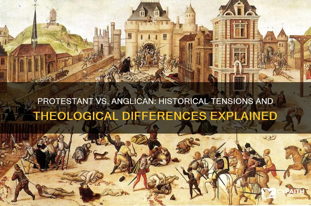 why do protestant dislike anglican