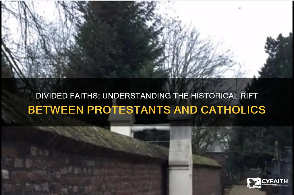 why do protistants and catholics not get along