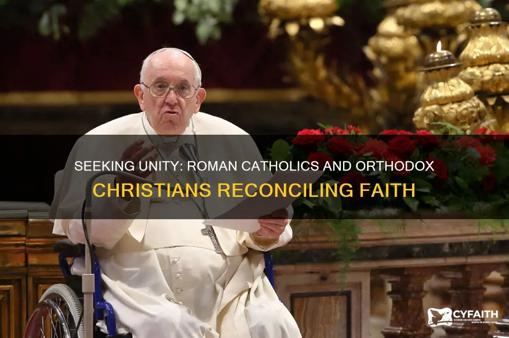 why do roman catholics want untiy with the orthodox