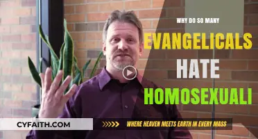 Understanding Evangelical Perspectives on Homosexuality: A Compassionate Dialogue