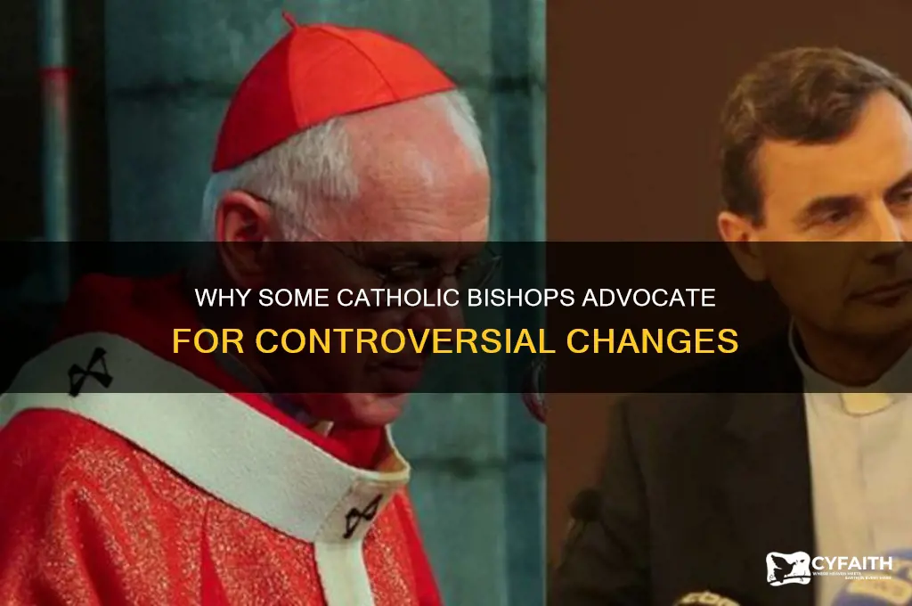 why do some catholic bishops want