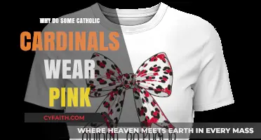 Why Some Catholic Cardinals Wear Pink: Unveiling the Tradition
