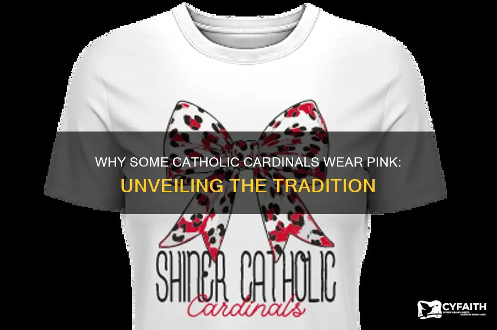 why do some catholic cardinals wear pink
