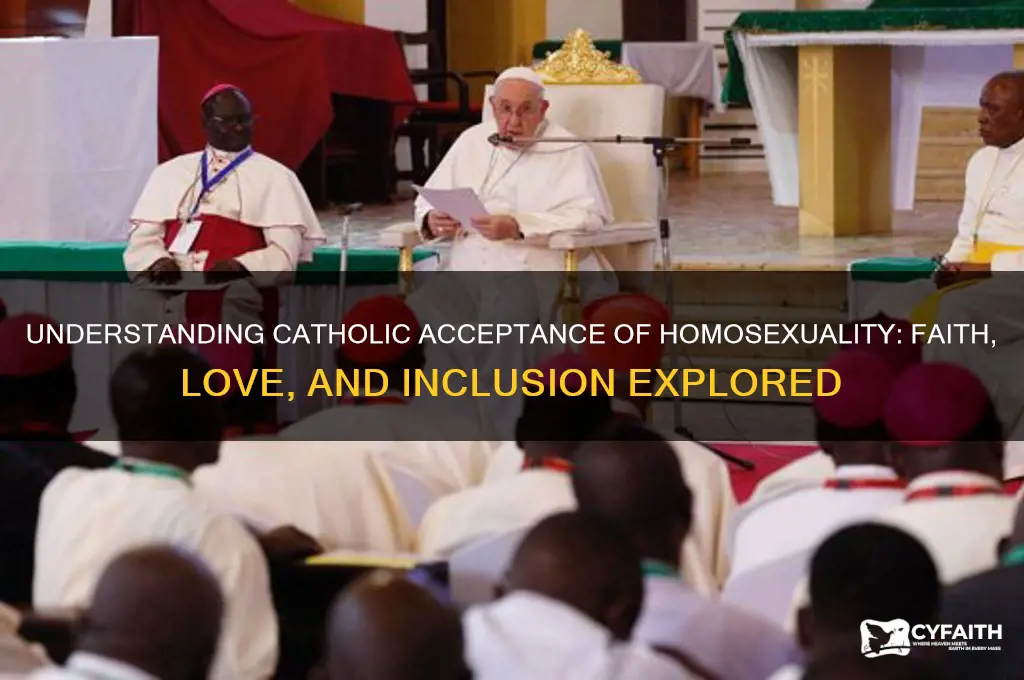 why do some catholics accept homosexuality