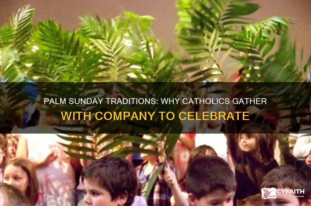 why do some catholics celebrate palm sunday with company