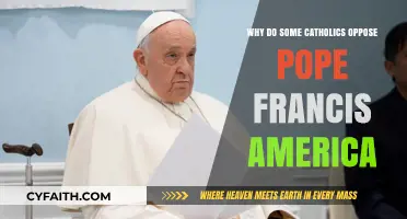 Why Some U.S. Catholics Criticize Pope Francis' Leadership