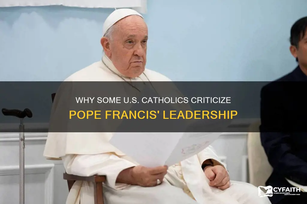 why do some catholics oppose pope francis america