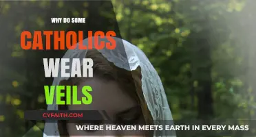 Veiled in Mystery: Catholic Women's Choice Explained