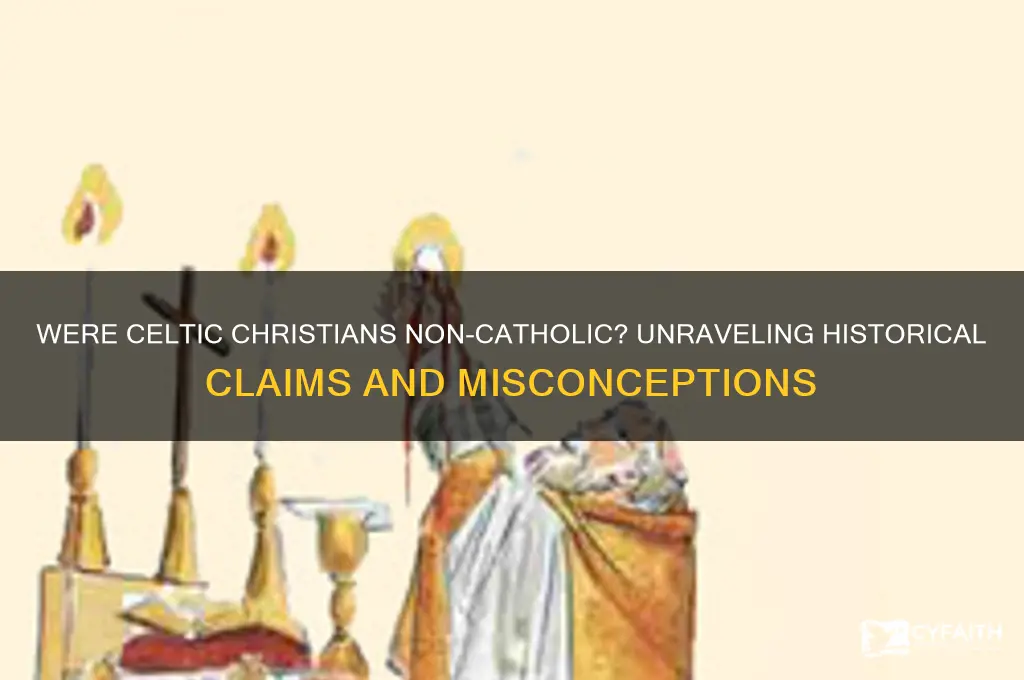 why do some claim celtic christians were not catholic