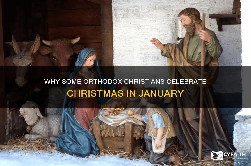 why do some orthodox celebrate christmas in january