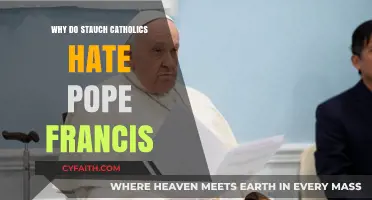 Why Staunch Catholics Criticize Pope Francis: Divisive Leadership Explored