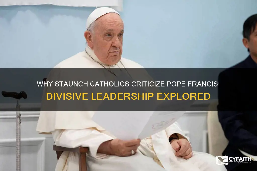 why do stauch catholics hate pope francis