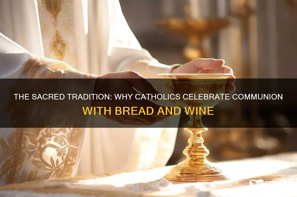 why do the catholics celebrate communion with bread and wine