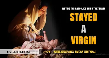 Mary's Perpetual Virginity: Catholic Beliefs and Scriptural Insights Explained