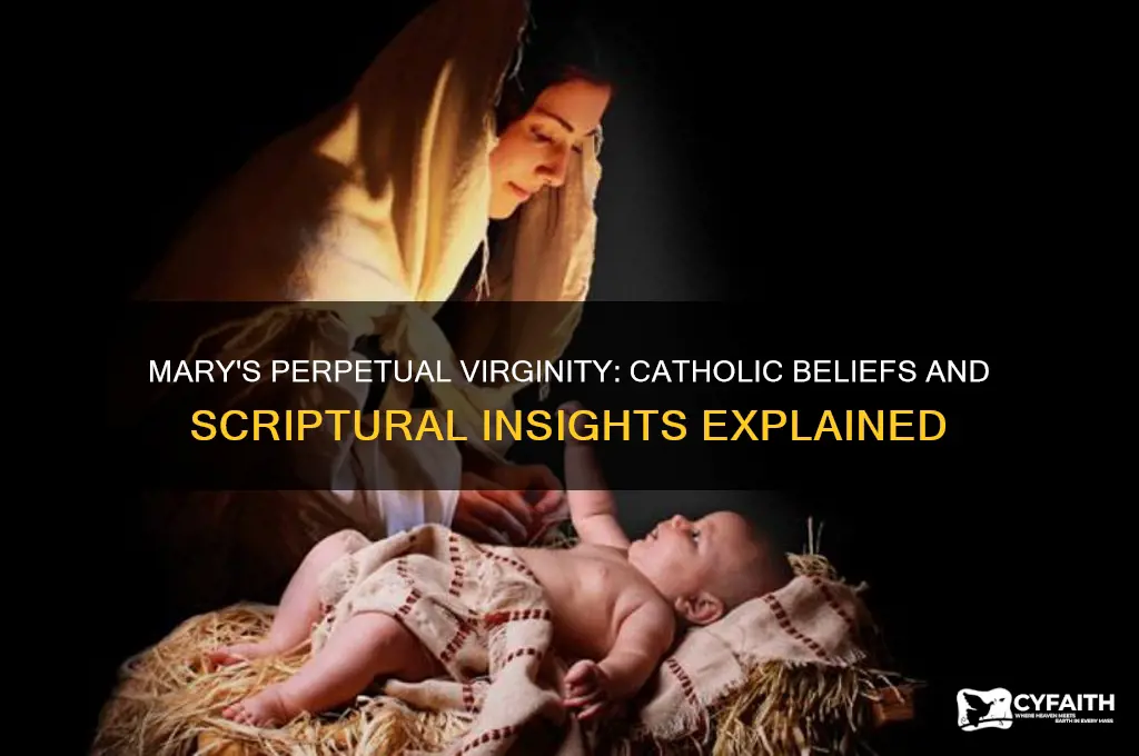 why do the catholics think that mary stayed a virgin
