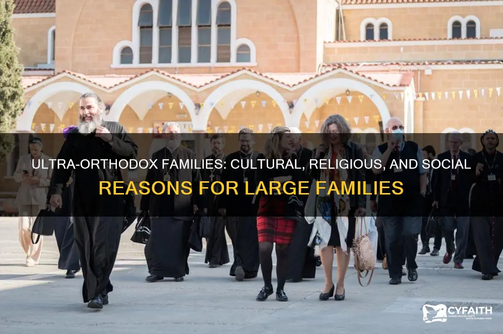 why do ultra orthodox have so many children