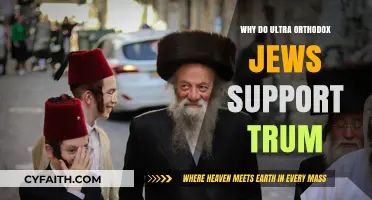 Ultra-Orthodox Jewish Backing for Trump: Unraveling the Political Alliance