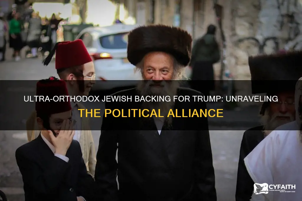 why do ultra orthodox jews support trum