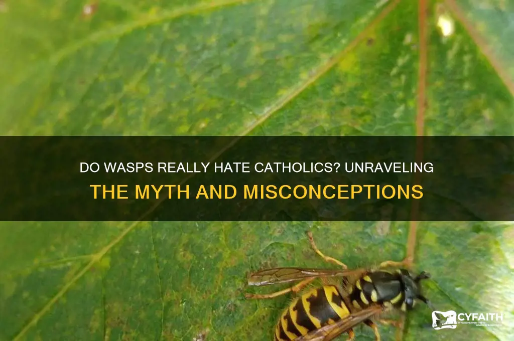 why do wasp hate catholics