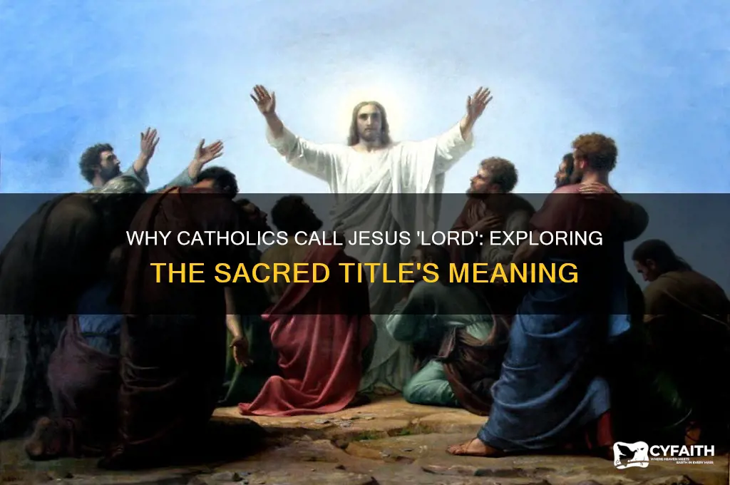 why do we call jesus lord catholic