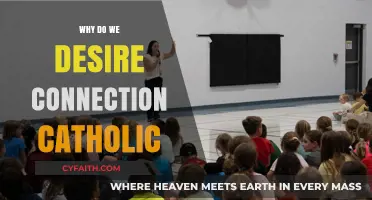 Seeking Unity: Understanding Our Deep Catholic Desire for Connection
