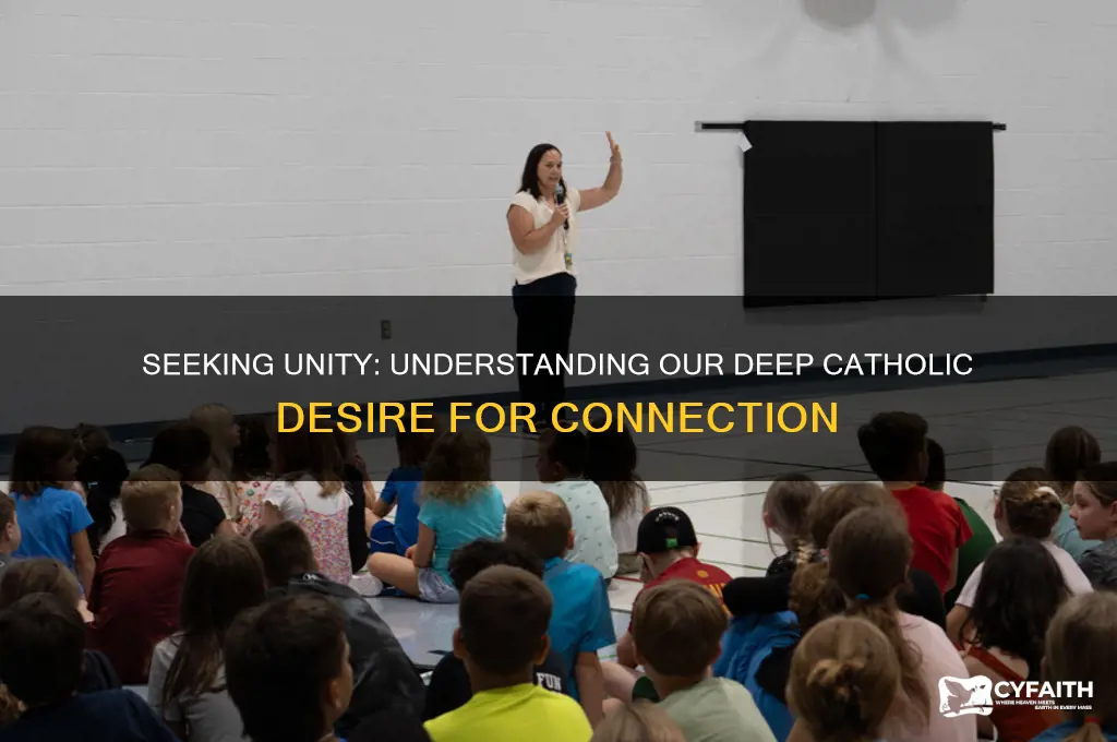 why do we desire connection catholic